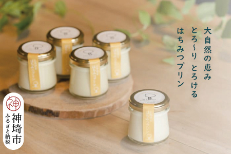 えこびと農園のとろけるはちみつプリン 5個セット(H037140)