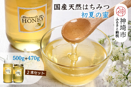 【数量限定】2025年産 国産天然蜂蜜（初夏の蜜）500g & 470g　(H049117)