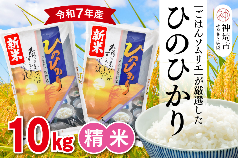 【令和7年産 新米】ごはんソムリエが厳選 白米 ひのひかり 10kg【神埼市産 新米 米 お米 精米 白米 10kg 5kg×2 ひのひかり ブランド米 食味鑑定士】(H063151)