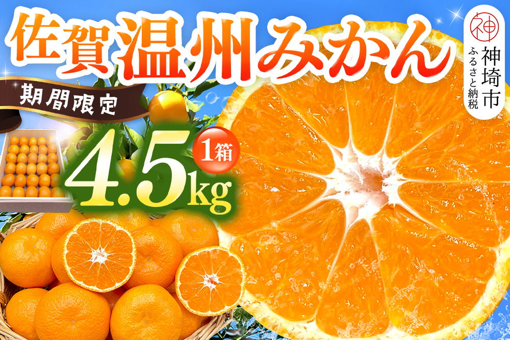 【令和7年11月下旬より発送】佐賀温州みかん(1箱 4.5kg)【フルーツ 佐賀 佐賀県産 早生みかん 温州みかん ギフト 贈答 プレゼント】 (H072107)