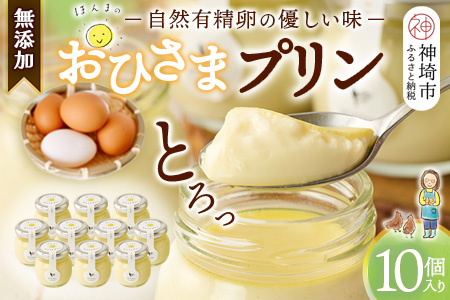 おひさまプリン10個セット 【スイーツ 平飼い 無添加 有精卵 ミルン牧場 牛乳 プリン県 プリンマップ】(H073109)