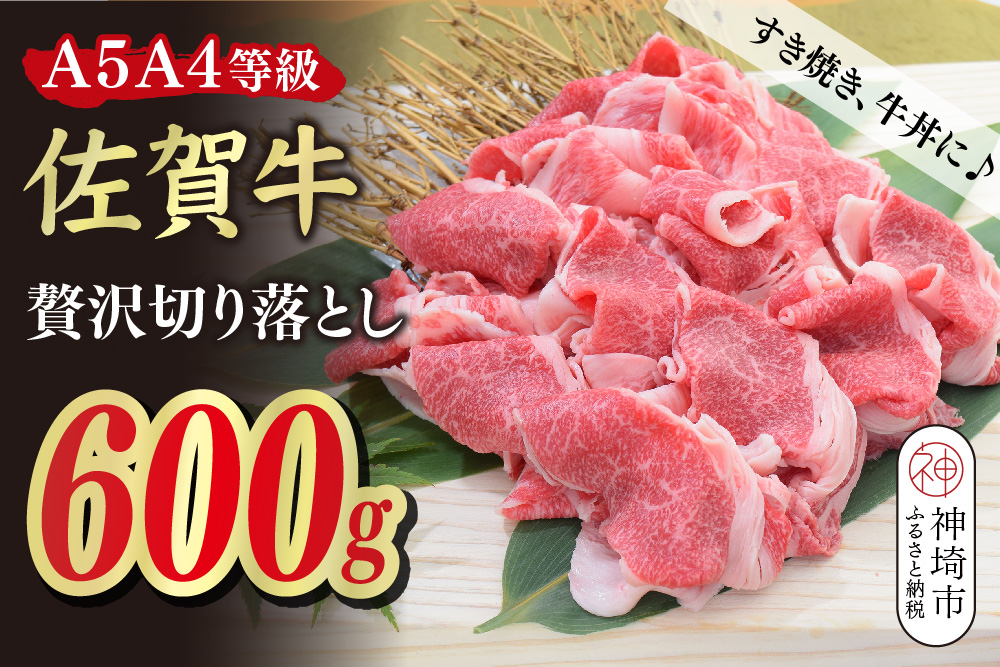 佐賀牛 贅沢 切り落とし 600g【A4～A5ランク】【すき焼き しゃぶしゃぶ 牛丼 A5 A4 希少 国産和牛 牛肉 肉 牛】(H085208)