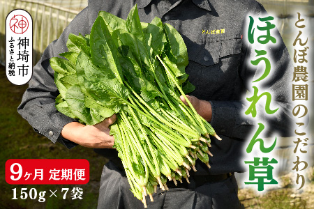 【定期便9回】ほうれん草 約1kg（150g x 7袋）【合計 約9kg】(H091121)