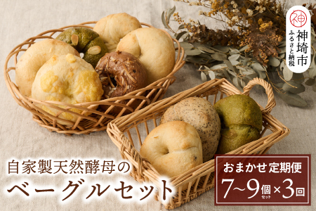 【定期便3回】自家製天然酵母のベーグルセット【パンと器のコネル】 【パンと器のコネル もっちりベーグル 国産小麦 パン 自家製 天然酵母 玄米麹 朝食 おやつ】(H094118)
