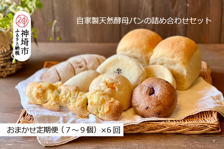 【定期便6回】自家製天然酵母パンの詰め合わせセット【パンと器のコネル】 【パンと器のコネル 全粒粉 もっちりベーグル 国産小麦 パン 自家製 天然酵母 玄米麹 朝食 おやつ】(H094120)