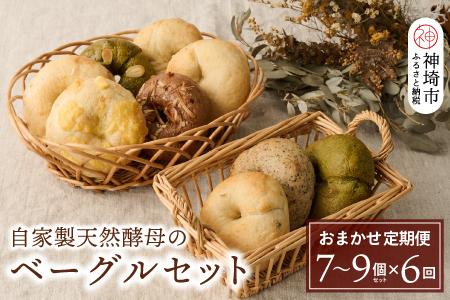 【定期便6回】自家製天然酵母のベーグルセット【パンと器のコネル】 【パンと器のコネル もっちりベーグル 国産小麦 パン 自家製 天然酵母 玄米麹 朝食 おやつ】(H094121)