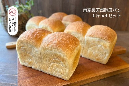 自家製天然酵母の食パン 4斤【パンと器のコネル】(H094123)