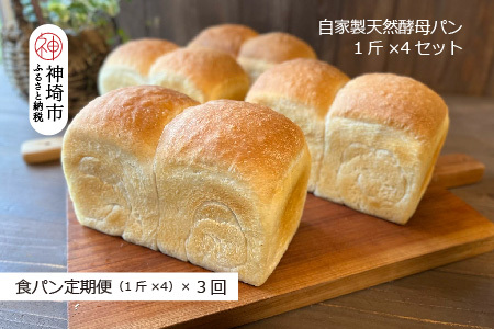 【定期便3回】自家製天然酵母の食パン 4斤【パンと器のコネル】 【パンと器のコネル 国産小麦 パン 自家製 天然酵母 玄米麹 朝食 おやつ】(H094126)