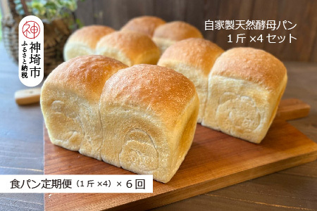 【定期便6回】自家製天然酵母の食パン 4斤【パンと器のコネル】 【パンと器のコネル 国産小麦 パン 自家製 天然酵母 玄米麹 朝食 おやつ】(H094127)