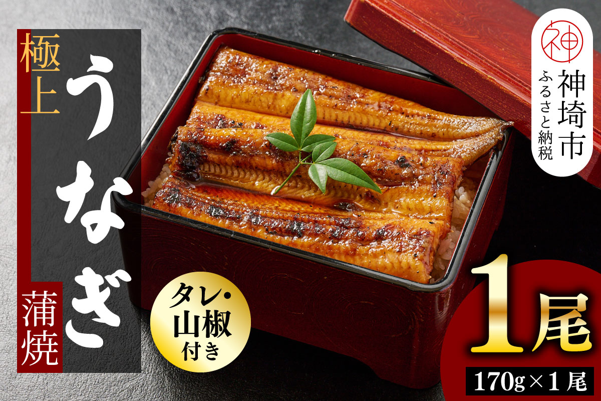 【職人手焼き】国産特大うなぎ蒲焼1尾（約170g前後）【国産 特大 うなぎ 鰻 ウナギ ふっくら 柔らか 鰻重 きざみ鰻 うなぎのせいろ蒸 タレ付 弁当】(H097112)