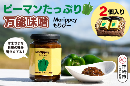 リピーター続出!! "ピーマン味噌 もりぴー"2個セット【手編みかご入り 】【サラダピーマン 米麹味噌 手作り 無添加 プレゼント】(H100102)