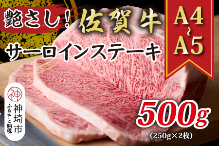 艶さし！【A4～A5】佐賀牛サーロインステーキ 500g(250g×2枚)【肉 牛肉 ブランド牛 黒毛和牛 ステーキ肉 ふるさと納税】(H112105)