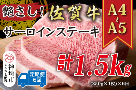【6か月定期便】艶さし！【A4～A5】佐賀牛サーロインステーキ 250g(250g×1枚)×6回【肉 牛肉 ブランド牛 黒毛和牛 ステーキ肉 ふるさと納税】(H112191)