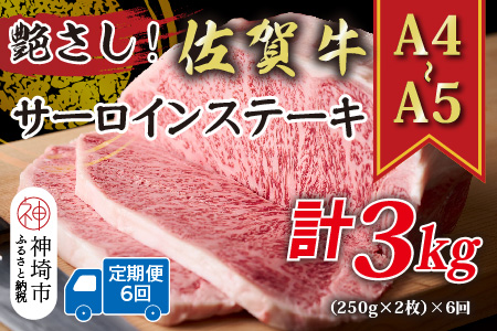 【6か月定期便】艶さし！【A4～A5】佐賀牛サーロインステーキセット 500g(250g×2枚)×6回【肉 牛肉 ブランド牛 黒毛和牛 ステーキ肉 ふるさと納税】(H112194)