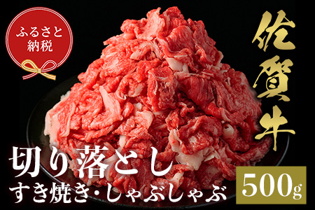 【和牛セレブ】佐賀牛 切り落とし 500g【肉 ブランド牛 和牛 牛肉 ふるさと納税】(H113117)