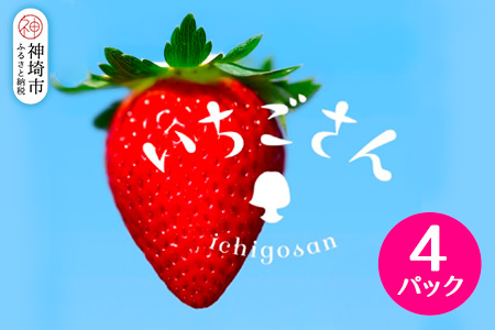 【2026年1月上旬より発送開始】いちごさん4パック【果物 くだもの フルーツ イチゴ 苺 佐賀】(H116133)