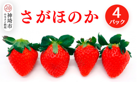 【2026年1月上旬より発送開始】さがほのか4パック【果物 くだもの フルーツ いちご イチゴ 苺 佐賀】(H116134)
