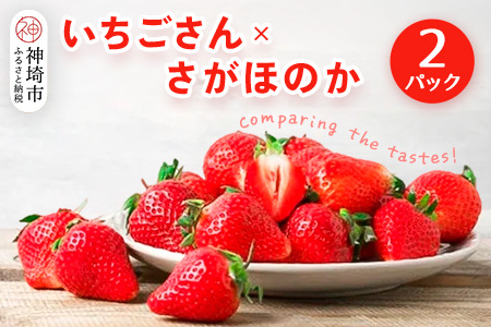【2026年1月上旬より発送開始】いちご食べ比べ 2パック(いちごさん・さがほのか)【果物 くだもの フルーツ イチゴ 苺 佐賀】(H116135)