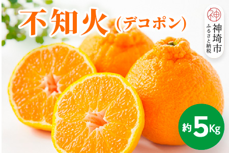 【2026年1月中旬より発送開始】不知火(デコポン) 約5kg【みかん 柑橘 清美 ポンカン フルーツ デザート】(H116137)