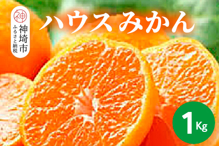 【2026年6月上旬より発送開始】ハウスみかん 1kg【みかん 冷凍みかん 柑橘 フルーツ デザート】(H116138)