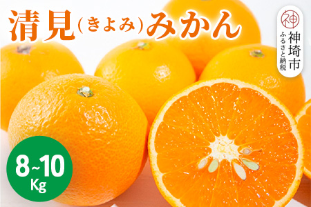 【2026年3月中旬より発送開始】清見(きよみ)みかん 8kg～10kg【みかん オレンジ 柑橘 フルーツ デザート】(H116139)