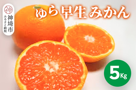 【2026年9月下旬より発送開始】ゆら早生みかん 5kg【みかん 柑橘 フルーツ デザート】(H116140)