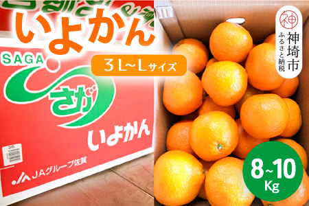 【2026年1月中旬より発送開始】いよかん 8～10kg(3L～Lサイズ)【みかん 柑橘 フルーツ デザート】(H116141)