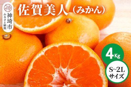 【2025年10月上旬より発送開始】佐賀美人(みかん) 4kg S～2Lサイズ【みかん ブランドみかん 柑橘 酸味 フルーツ デザート】(H116142)