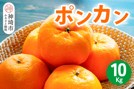 【2026年1月上旬より発送開始】ポンカン 10kg【みかん 柑橘 フルーツ デザート 貯蔵 高糖度】(H116147)