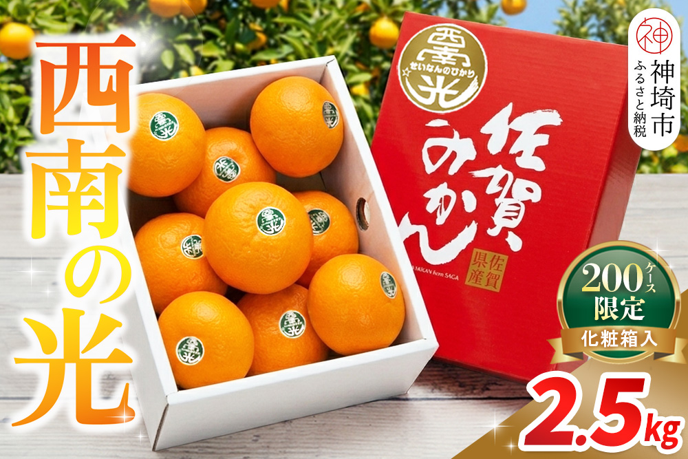 【2026年12月上旬より発送開始】西南の光 2.5kg(化粧箱入り)【みかん 柑橘 フルーツ デザート βクリプトキサンチン 手土産】(H116150)