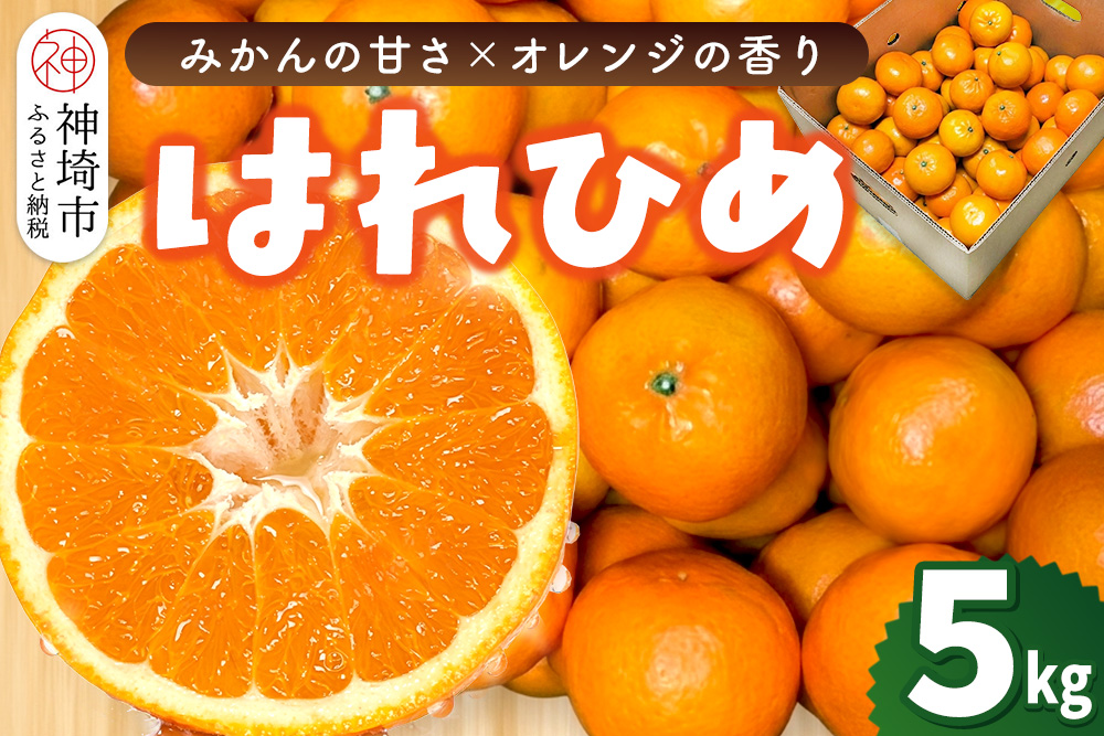 【2026年12月上旬より発送開始】はれひめ 5kg【みかん オレンジ 柑橘 フルーツ デザート さっぱり リフレッシュ】(H116151)