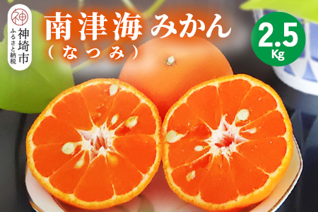 【2026年4月上旬より発送開始】南津海(なつみ)みかん 2.5kg【みかん 柑橘 オレンジ ポンカン フルーツ デザート 果汁】(H116155)