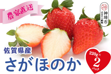 【R8年1月より発送 農家直送】さがほのか220g×2パック【いちご 苺 イチゴ 果物 フルーツ スイーツ デザート ふるさと納税】(H117101)