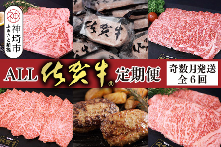 【奇数月発送 全6回定期便】ALL佐賀牛定期便【サーロインステーキ 赤身焼き肉 ハンバーグ カルビ焼肉 100%ハンバーグ ロースステーキ バラエティ豊か】(H118111)