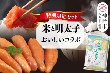 【2回定期便】特別限定セット さがびよりと明太子 おいしいコラボ【米 ブランド米 辛子明太子 たらこ ご飯のお供】(H996P118)