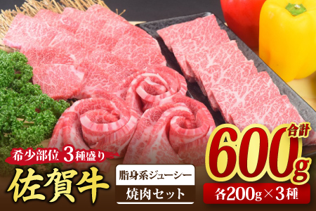 佐賀牛 希少部位 焼肉3点盛り合わせ【脂身系ジューシー】 600g （200gx3種） A5 A4【希少 国産和牛 牛肉 肉 牛 焼肉】(H085142)