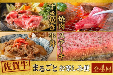 【4回定期便】佐賀牛 まるごと欲張り お楽しみ便（合計3kg）【希少 国産和牛 牛肉 肉 ヒレ サーロイン ロース ステーキ 特選 すき焼き】(H085146)
