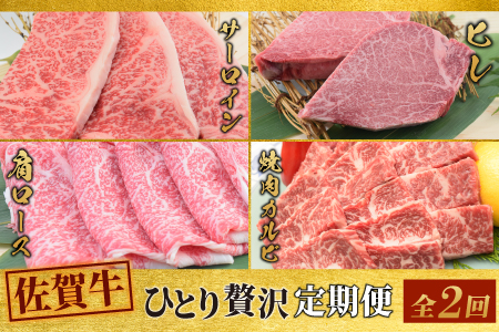 【2回定期便】 佐賀牛 ひとりで贅沢 お楽しみ便 （合計1.15kg）(H085148)