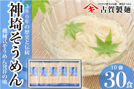 佐賀県特産品 神埼そうめん 10入 【そうめん 乾麺 神埼そうめん 特産品  御中元 夏 自家用】(H014144)