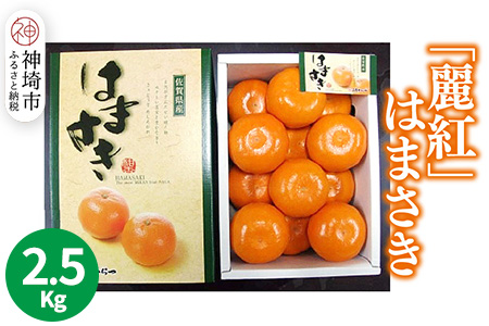 【2026年2月上旬より発送開始】【麗紅】はまさき 2.5kg【みかん 一級品 柑橘 フルーツ デザート】(H116144)
