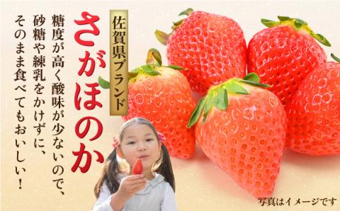 【1月中旬～3月中旬発送】みずみずしい果肉！さがほのか平パック4P 約1kg いちご 佐賀県産 佐賀県 イチゴ パック 吉野ヶ里町/リエンサーク [FCC002]