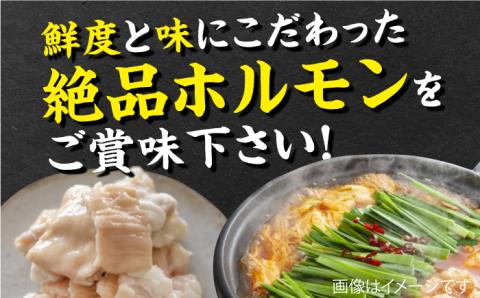 九州産もつ鍋セット(２人分）吉野ヶ里町/三田川ホルモン[FAC002]