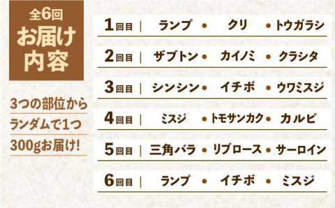 【2026年2月以降発送開始】＜12回定期便＞佐賀牛希少部位含む～ひとり贅沢焼肉コース～ ランプ/クリ/トウガラシ/ザブトン/カイノミなど【ミートフーズ華松】 [FAY073]