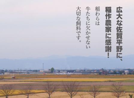 【6回定期便】佐賀牛赤身定期便【フルーム】[FAZ024]