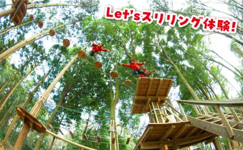 【ワクワク楽しい！】 アドベンチャーコース（スタンダードプラン・2名ペアチケット） 吉野ヶ里町/フォレストアドベンチャー[FBQ002]