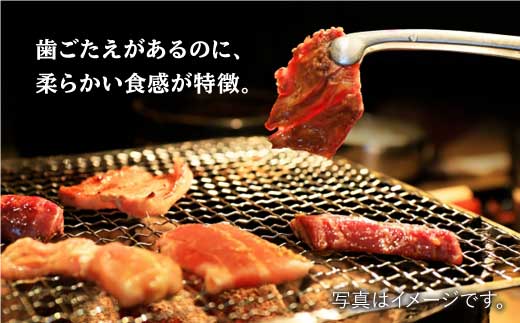 【大容量！食べやすい味付け】ホルモン専門店の和牛ハラミ1kg(500g×2)/BBQ/焼肉 吉野ヶ里町[FAC004]