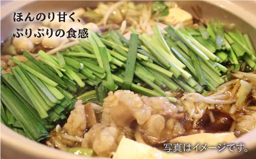 プリプリで味わい深い！ホルモン専門店の和牛小腸 600g（約3?4人前）【三田川ホルモン専門店】吉野ヶ里町 [FAC007]