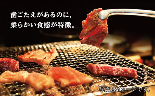 【味付】ホルモン専門店の和牛ハラミ300g （約3人前）吉野ヶ里町[FAC014]