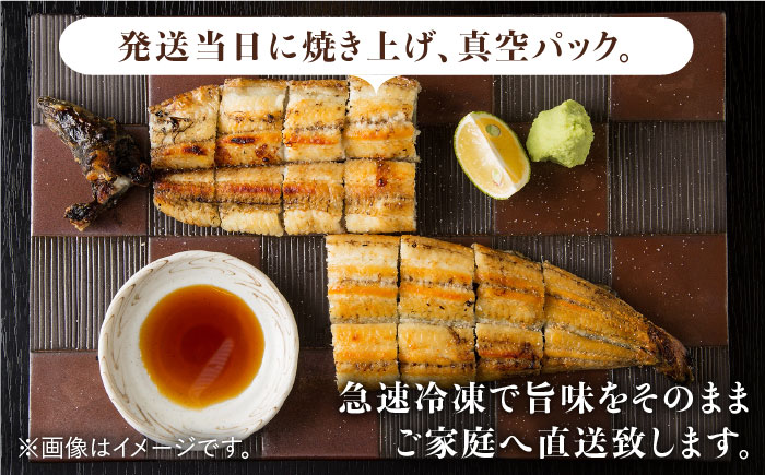 ふっくらジューシーのこだわり国産うなぎ蒲焼 6枚セット【丸安】 鰻[FAD013]