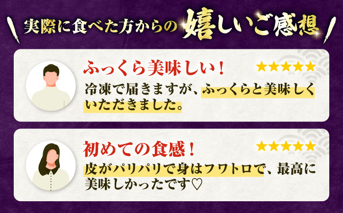 九州産 国産うなぎ 蒲焼 2尾 計360g以上（タレ・山椒付き） 丸安/ 吉野ヶ里町 [FAD023]